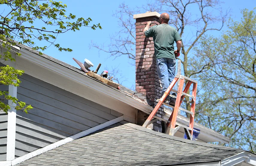 Chimney & Fireplace Inspections Services in Chillum, MD
